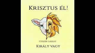 Király vagy [upl. by Stempson]