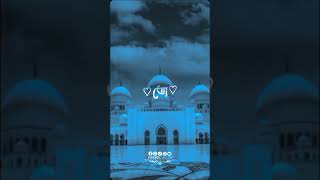 Allah Allah Allah foryouvairalvideo [upl. by Leonhard]