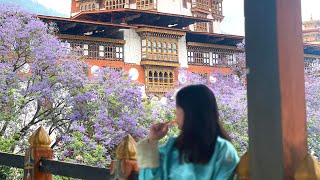 Bhutan Vlog 2 🇧🇹  Going to Punakha Rafting Visiting Dzongs and FOOD [upl. by Iline]