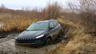 2014 Cherokee Trailhawk Mud Hole [upl. by Melissa]