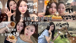 한여름의 오사카교토여행 VLOG  교토 기온 마츠리⛩️ 나라 사슴 공원🦌 소룡포 맛집 추천🥟 헬로키티 티셔츠 만들기😻 [upl. by Erlina115]