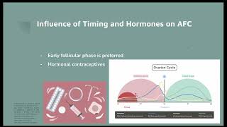 Counting Ovarian Antral Follicles with Ultrasound [upl. by Inaleon]