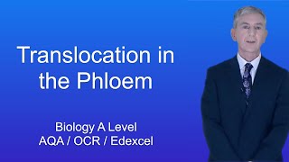 A Level Biology Revision quotTranslocation in the Phloemquot [upl. by Hewet]