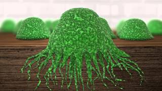 Killing Mold Spore Animation [upl. by Lenej513]