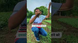 कैसे पाएं मोथा घास से छुटकारा  Get rid from nutgrass [upl. by Thorrlow]