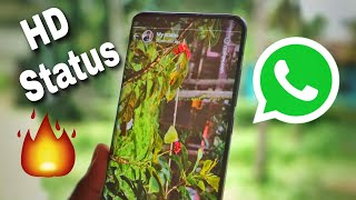 How to Create HD Whatsapp Status  Easiest Method [upl. by Chaffinch705]