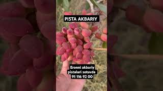 ERON Pistalari sotuvda 91 1169200 top fruit rek avto keşfet rekk baki love onthisday smart [upl. by Renita]