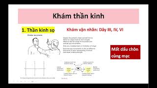 NEUROPHYSIOLOGY  BUỔI 21  BRAINSTEM  Cushing triad và III nerve Palsy [upl. by Remde]