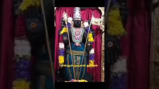 Murugan kandhan velavandevotinal trending song short [upl. by Etnor]