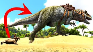 All Rideable Dinosaurs and Creatures on The Island Ark Survival Evolved [upl. by Rana]