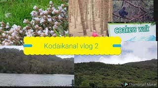 Kodaikanal vlog 2 in tamil  Travel vlog in Thilaga home [upl. by Johnny]