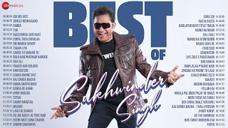 Best of Sukhwinder Singh 🎵 3 Hours NonStop 🎵 Udi Udi Jaye Tuu Jungle Mein Kaand Rabba amp More [upl. by Grant]