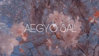 AEGYO SAL SUBLIMINAL BUNDLE EXTREMELY POWERFUL [upl. by Etnoval]