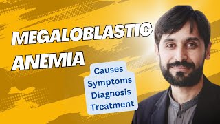 Megaloblastic Anemia  Causes  Symptoms  Diagnosis and Treatment  MLT Hub with kamran [upl. by Teagan]