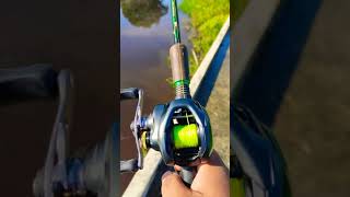 Shimano curado k 201hg [upl. by Fradin]