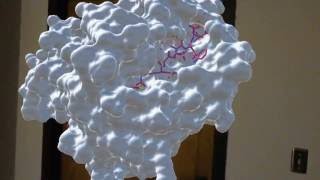 3d Protein in Hololens [upl. by Imailiv]