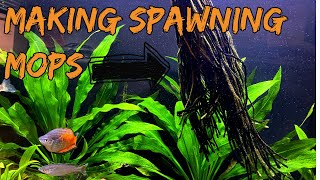 Making a spawning mop for breeding rainbow fish [upl. by Karna447]