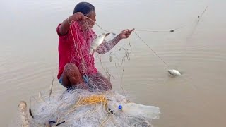 गंगा नदी से छोटी चाल मछली को कैसे पकड़ा जाता है fishhunting2 machlipalankatarika [upl. by Weisburgh]