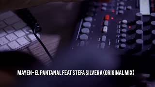 UnReleased Music El Pantanal feat Stefa Silvera [upl. by Kerianne501]