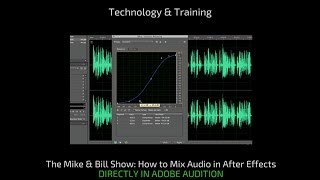 How to Eliminate Adobe After Effect Background Audio Noise in Audition [upl. by Acisset297]