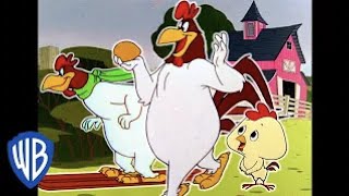 Looney Tunes en Latino  El Gallo Claudio en la granja  WB Kids [upl. by Sawyer]