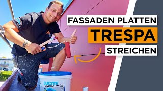 Fassadenplatten streichen mit Reinacrylatfarbe  einfach und effektiv [upl. by Seftton]