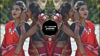 gondi dhemsa full TAPORI MIX SONG AD DJ PAVAN PR [upl. by Corsetti182]