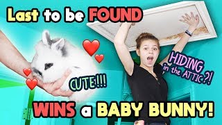 Last to Be Found WINS CUTE BABY BUNNY Tannerites Hide and Seek Game [upl. by Lowney]