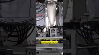 IBC tank blow molding machine ibc production process [upl. by Neliak]