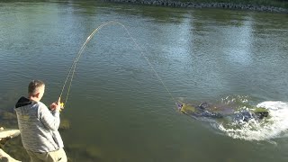 Pecanje soma na Savi kod Brežica u Sloveniji II deo  Fishing catfish in Slovenia [upl. by Notrem345]