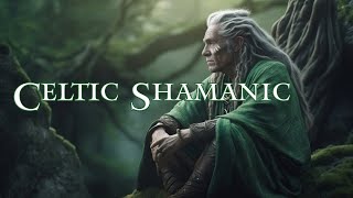 Celtic Shamanic  Soothing Tribal Sounds  Relaxing with Rhythm  Healing Soundscape [upl. by Nilahs758]