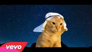 Arabian cat  Official Music VIdeo ftPanjabi MC [upl. by Kung]