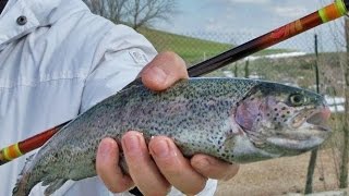 Pesca a trota lago striscio tremarella e penna [upl. by Yremrej]