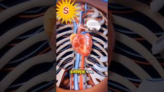 Pacemakers motivation phycology studyadvice facts gk viralshort youtube viralshort [upl. by Bencion399]