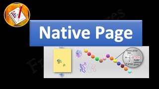 NATIVE PAGE [upl. by Schaper]