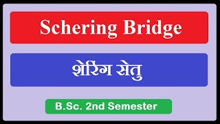 schering bridge PhysicsJockey [upl. by Aizti71]