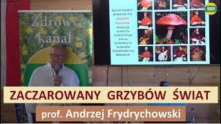 Magiczny świat grzybów Tajemnice leczniczych właściwości prof Andrzej Frydrychowski [upl. by Nabe394]