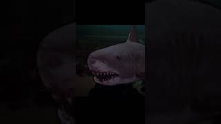 An original prop shark from Jaws gets a new lease on life  ABC7 [upl. by Nodab1]