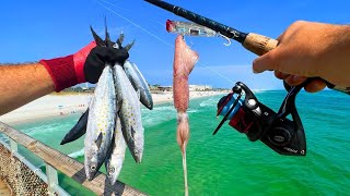 Eating Everything We Catch PIER FISHING  Squid Shark Mackerel n More [upl. by Mariquilla981]