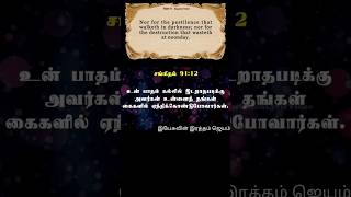 ⛪சங்கீதம் 919to 16 Paslms919 to16 jesusworld shortvideo jesuschrist christworld bibleverses [upl. by Curhan]