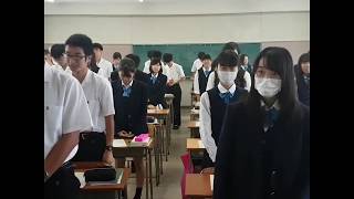 Estudiantes japoneses aprenden español [upl. by Ellenwad]