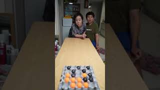 Egg Pong Game The Ultimate Ping Pong Challenge [upl. by Calise]