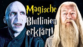 Magische Blutlinien in Harry Potter erklärt  Harry Potter Wissen [upl. by Ngo]