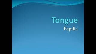 Lecture on Tongue Anatomy  Papillae Hindi [upl. by Nwahsal]