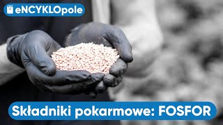 Nawożenie FOSFOREM Poznajemy składniki pokarmowe [upl. by Mcknight]