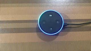 What you can do with Amazon Echo DotAlexa Tamil Version [upl. by Odilo]