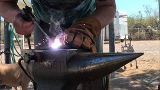 Shoeing a horse with a suspensory injury [upl. by Markowitz]