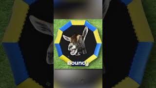 What quotGoat Screamingquot sound is the BEST 3 [upl. by Vito]