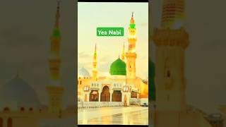 Yea Nabi Nazre karam farmana shorts youtubeshorts islamic [upl. by Kirstin358]