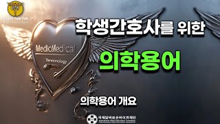 👩‍⚕️ 학생간호사를 위한 의학용어 개요 🩺  기초부터 시작하는 의학용어 강의  AI 기술 활용 [upl. by Sanderson47]